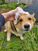 earthbath® Tushy Wipes Review