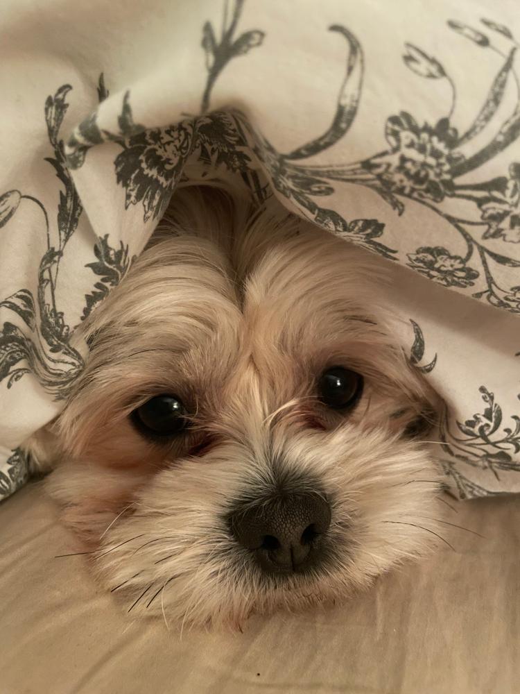 Hypoallergenic Eye Wipes - Customer Photo From Sue