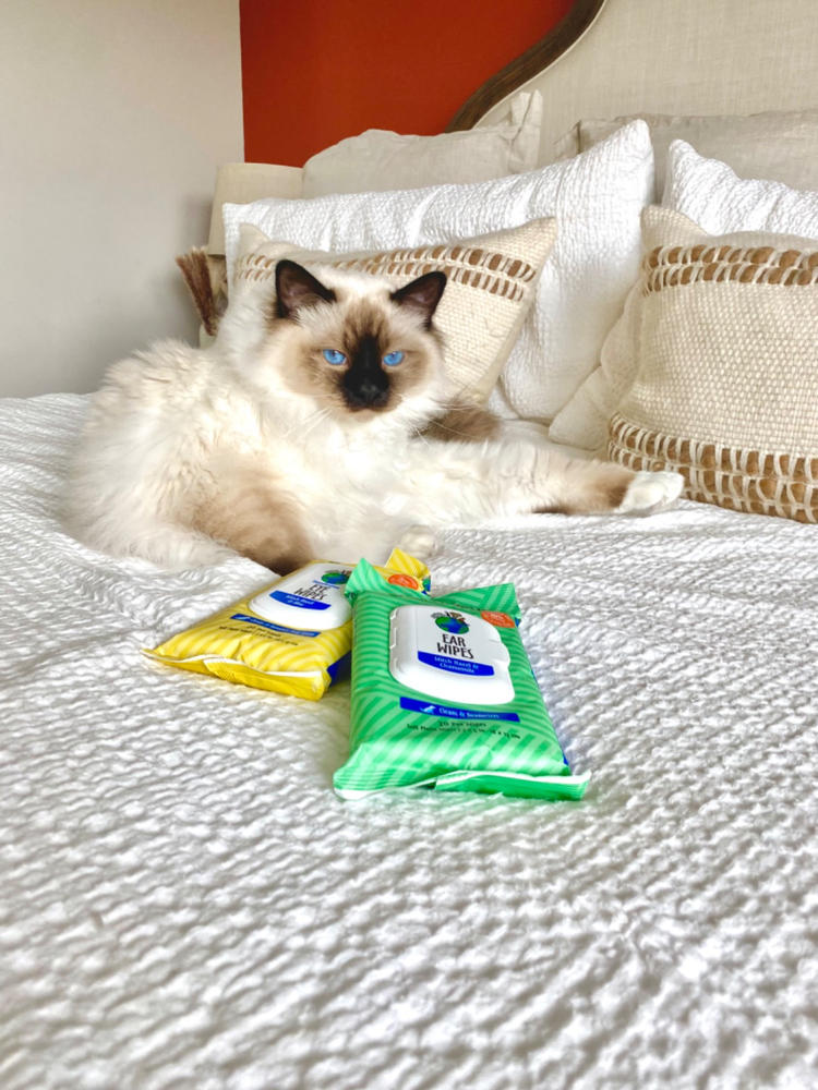 Ear Wipes - Customer Photo From Mariah M.