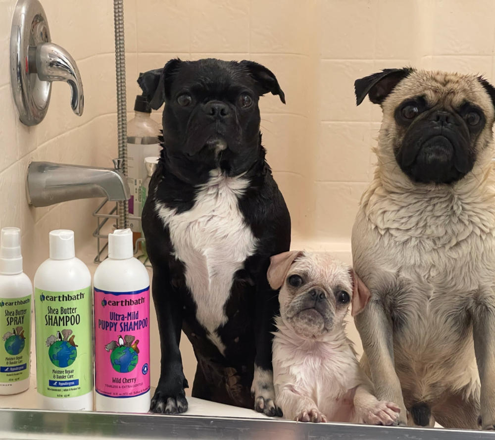 Hypoallergenic Shea Butter Shampoo - COMING SOON - Customer Photo From Claudia M.