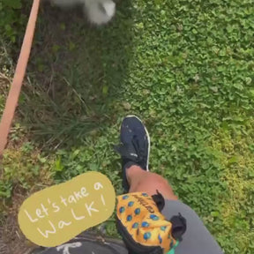 Owner using Tushy Wipes on his dog after a walk