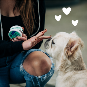 The product Treatment Balm with a dog 