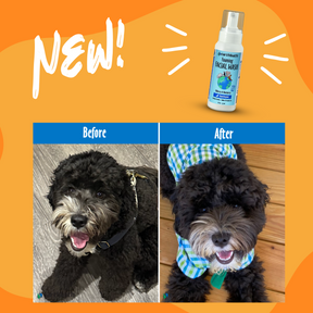 Dog before and after using Foaming Facial Wash