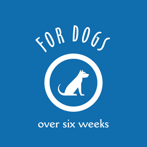 Hot Spot Relief Grooming Set for Dogs