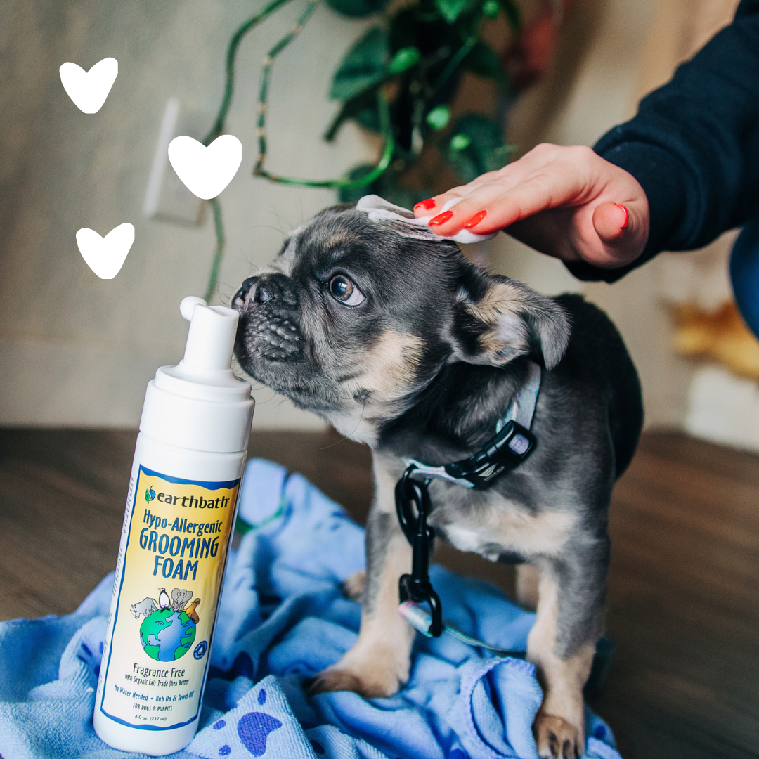 Dog with hearts using Hypo-Allergenic Grooming Foam