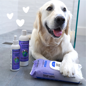 Dog happy along Smelly Dog Set