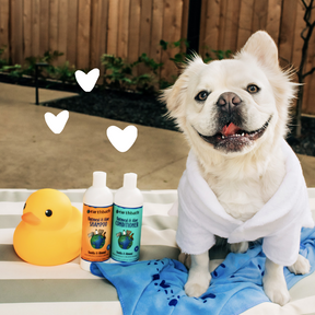 Oatmeal & Aloe Itch Relief Shampoo - Vanilla & Almond next to a dog with hearts