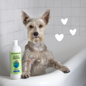 The product Shea Butter Shampoo with a dog 