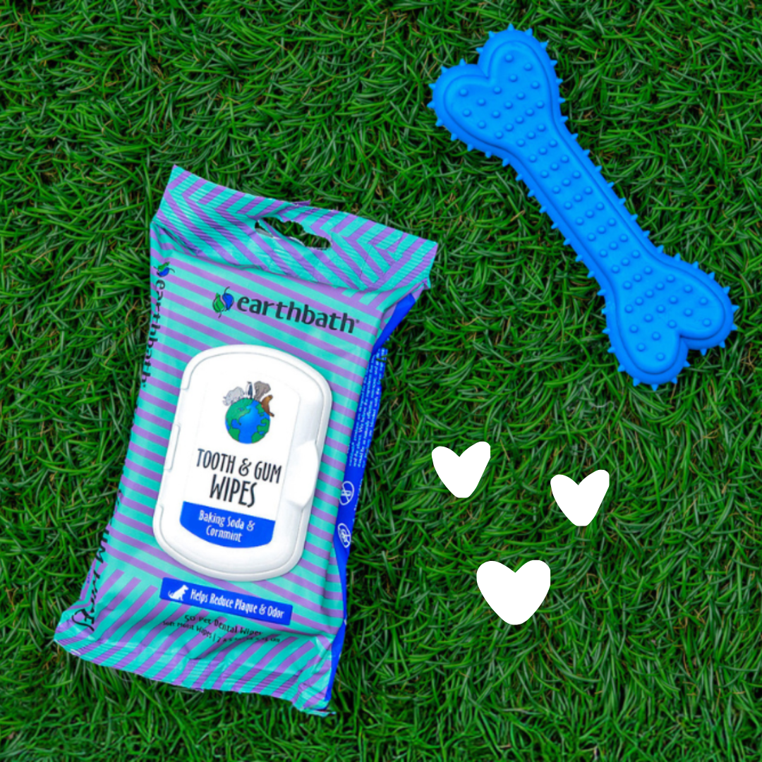 Pack of Earthbath tooth and gum wipes on grass with a blue dog toy and hearts.