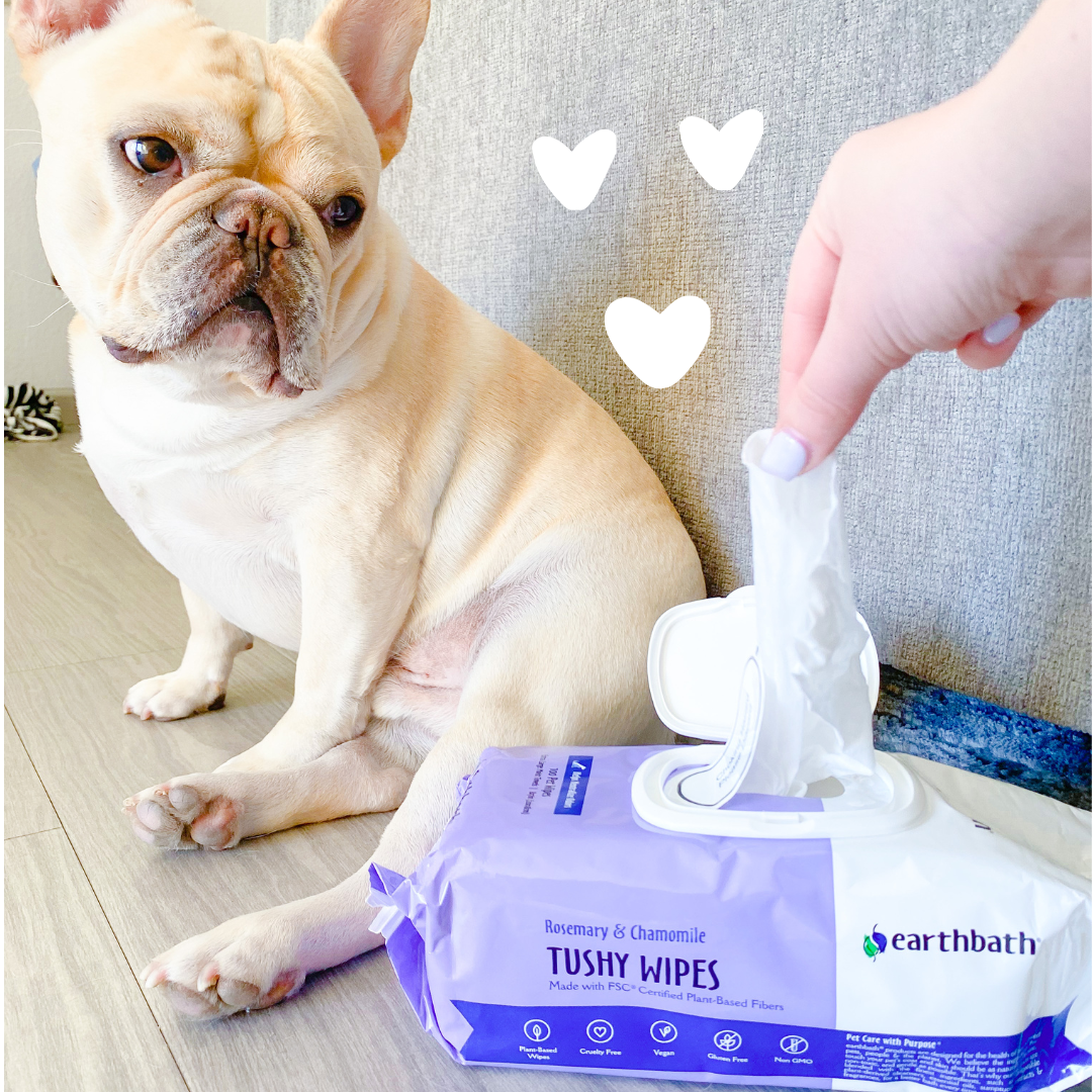 Dog checking Tushy Wipes with hearts