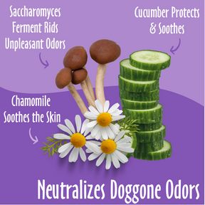 Neutralizes doggone odors elements like chamomile, cucumber, saccharomyces and their benefits.