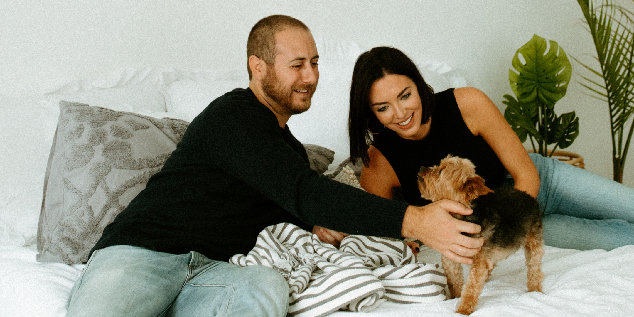 yorkie dog on bed with two people
