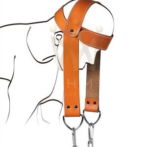 Head Harness