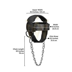 Head Harness